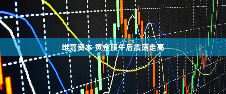 维嘉资本 黄金股午后震荡走高