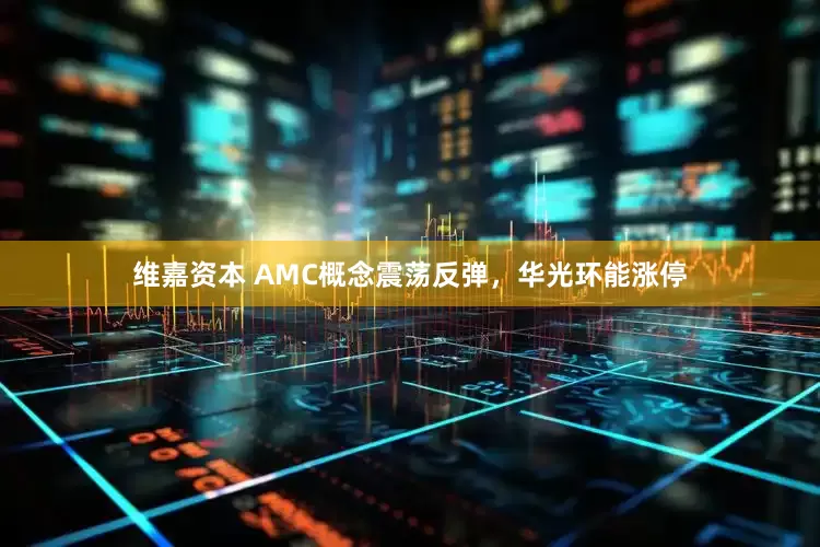 维嘉资本 AMC概念震荡反弹，华光环能涨停