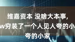 维嘉资本 没啥大本事, 8w穷装了一个人见人夸的小家