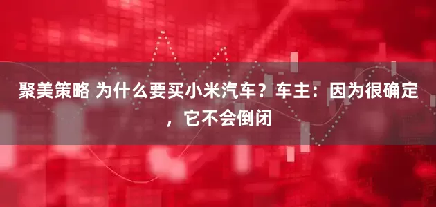聚美策略 为什么要买小米汽车?车主:因为很确定,它不会倒闭