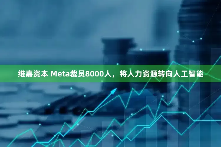 维嘉资本 Meta裁员8000人，将人力资源转向人工智能